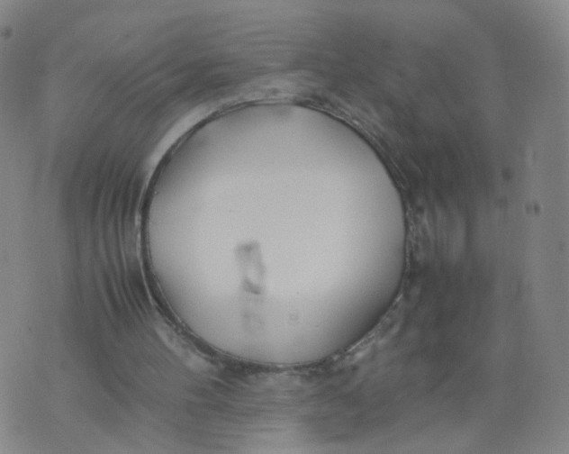 X0000074330100200609152107