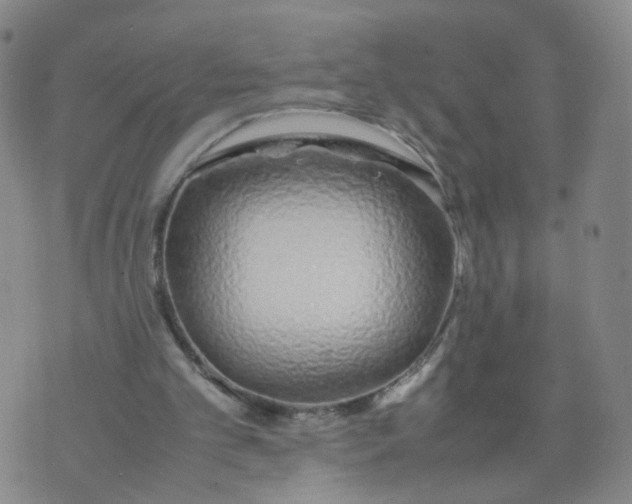 X0000074330101200609152107