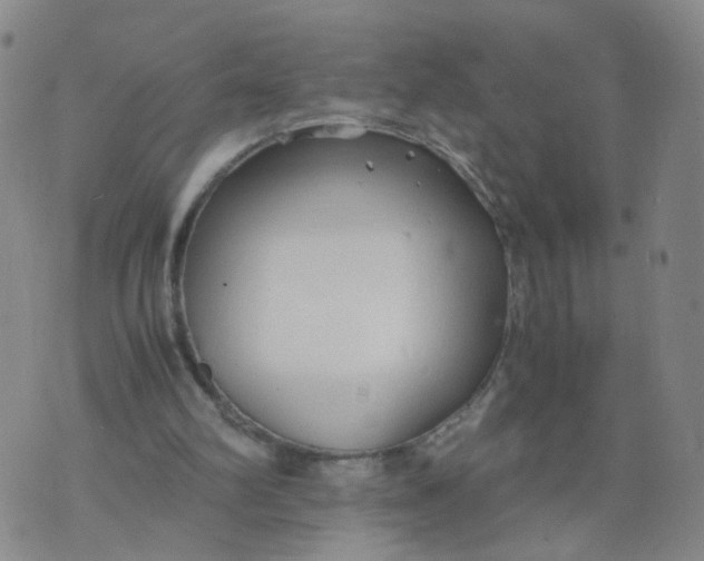 X0000074330102200609152107