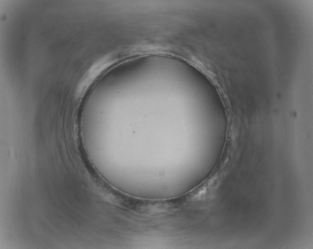 X0000074330103200609152107