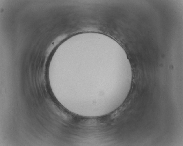 X0000074330104200609152107