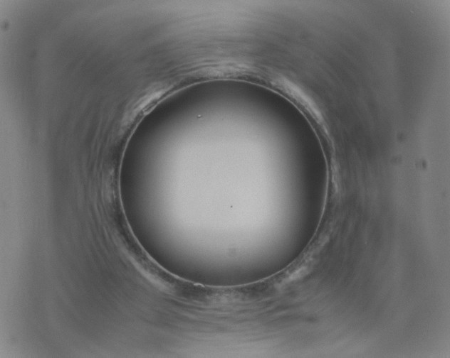 X0000074330105200609152107