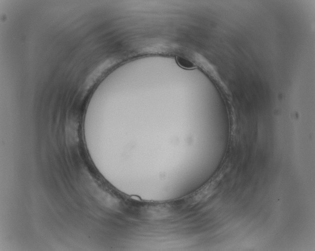 X0000074330106200609152107