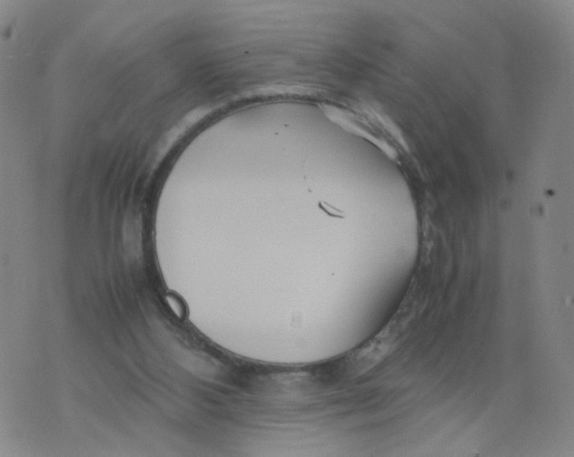 X0000074330108200609152107