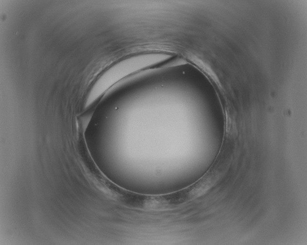 X0000074330109200609152107