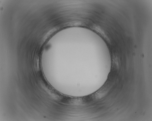 X0000074330110200609152107