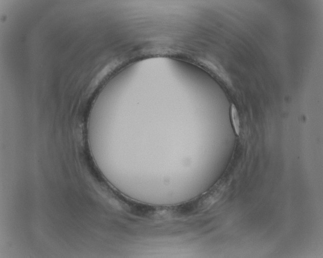 X0000074330111200609152107