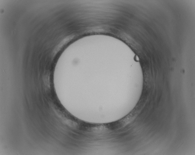 X0000074330112200609152107