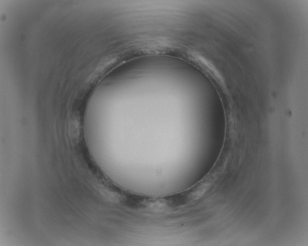 X0000074330113200609152107