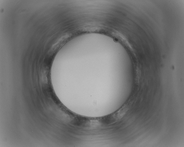 X0000074330114200609152107