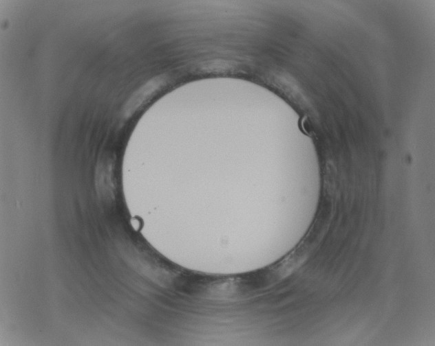 X0000074330116200609152107