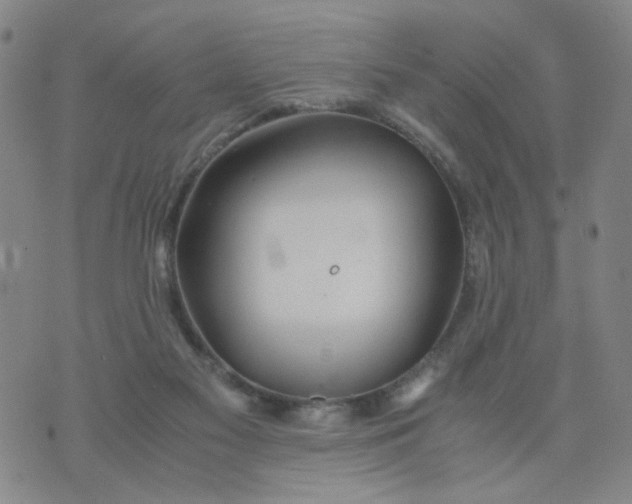 X0000074330117200609152107