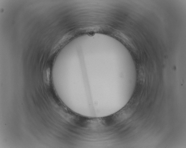 X0000074330118200609152107