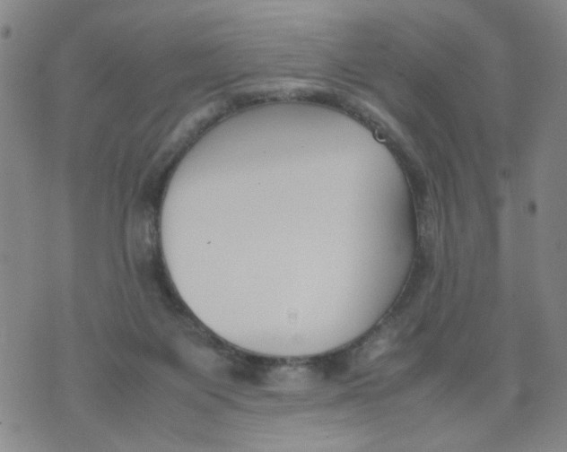 X0000074330119200609152107