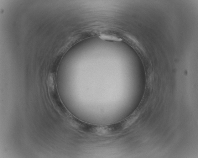 X0000074330121200609152107