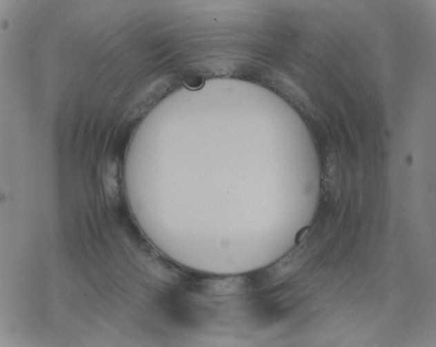 X0000074330122200609152106