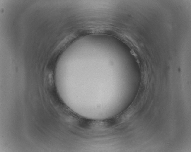 X0000074330123200609152106