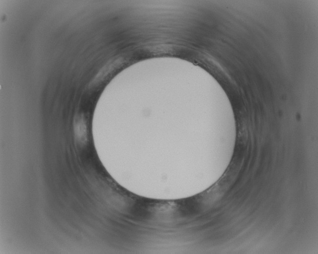 X0000074330124200609152106