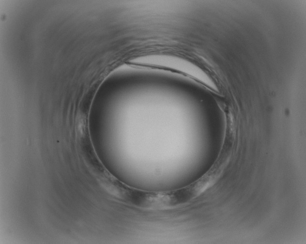 X0000074330125200609152106