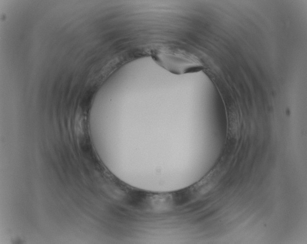 X0000074330126200609152106