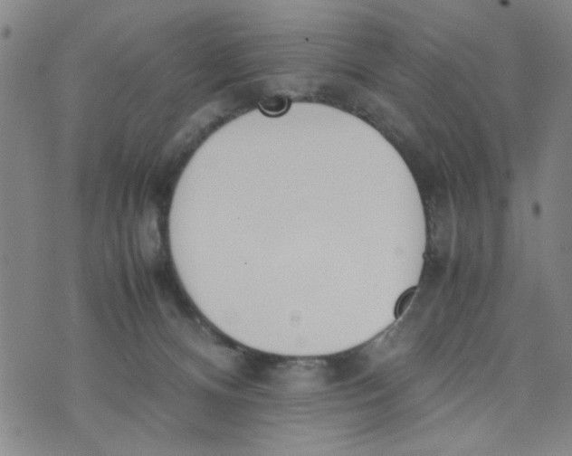 X0000074330128200609152106