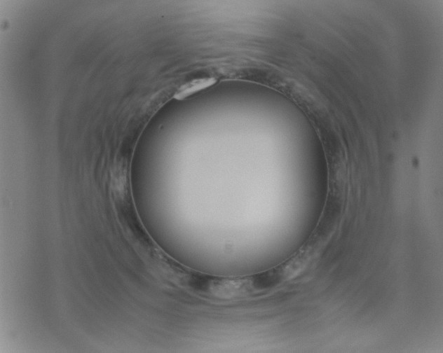 X0000074330129200609152106