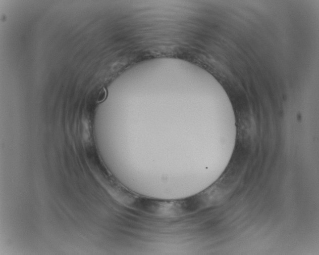 X0000074330130200609152106