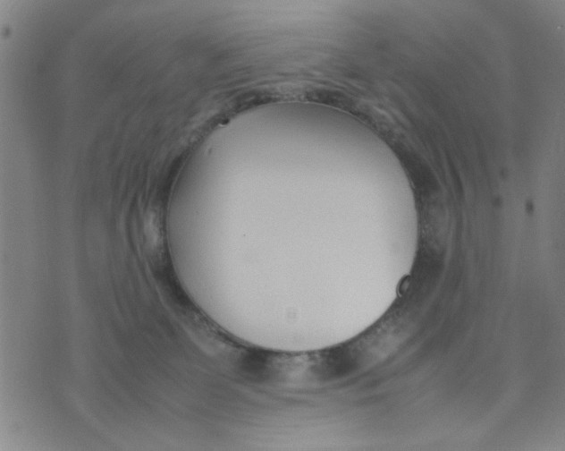 X0000074330131200609152106