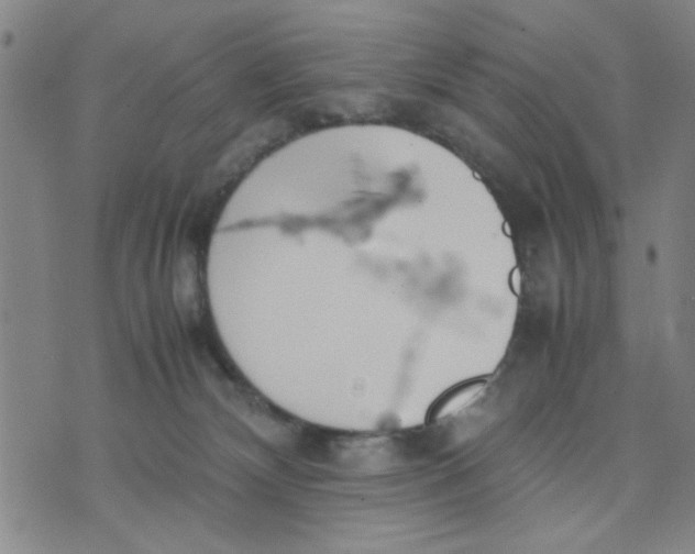 X0000074330132200609152106