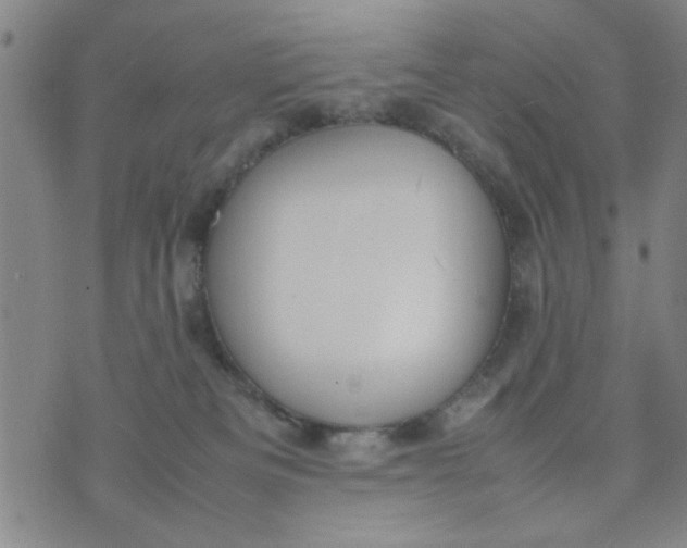 X0000074330133200609152106