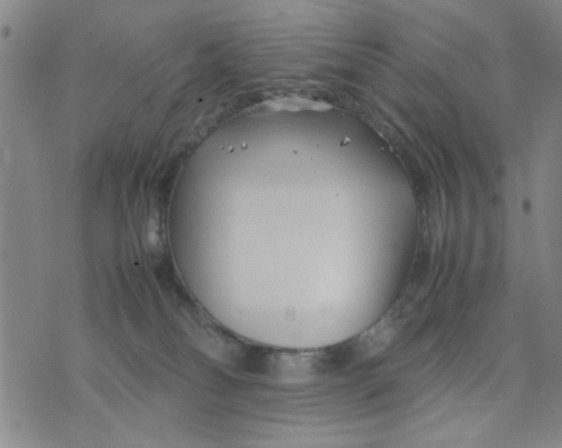 X0000074330134200609152106