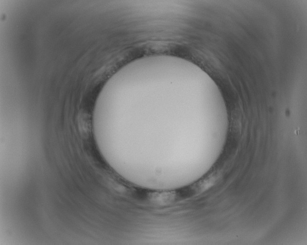 X0000074330135200609152106