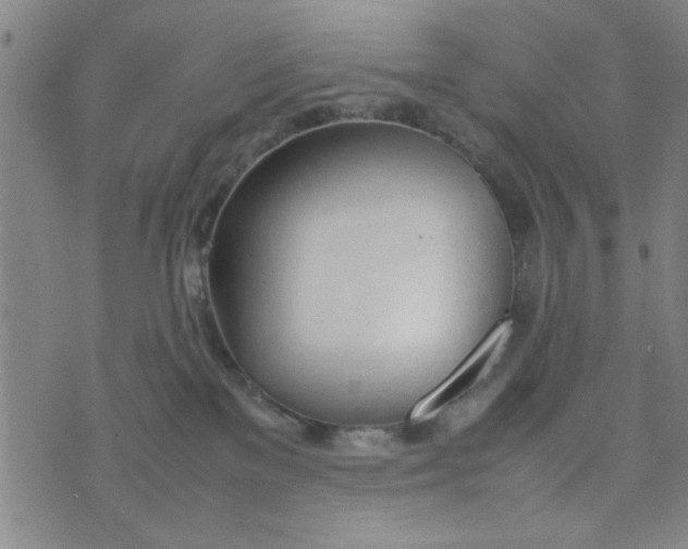 X0000074330137200609152106