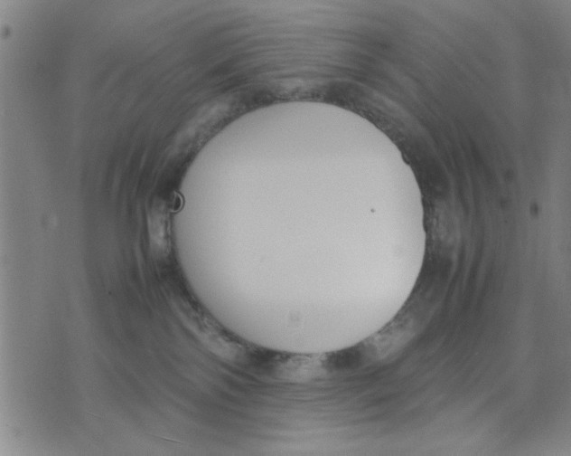 X0000074330138200609152106