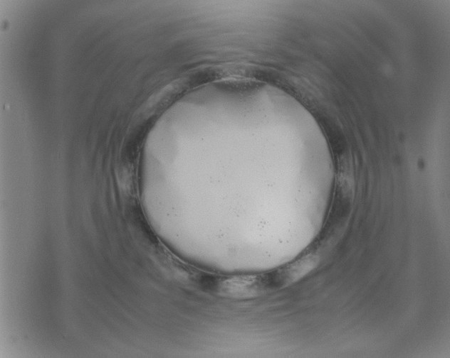 X0000074330139200609152106