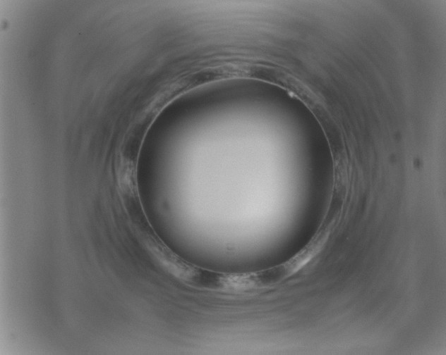 X0000074330141200609152106