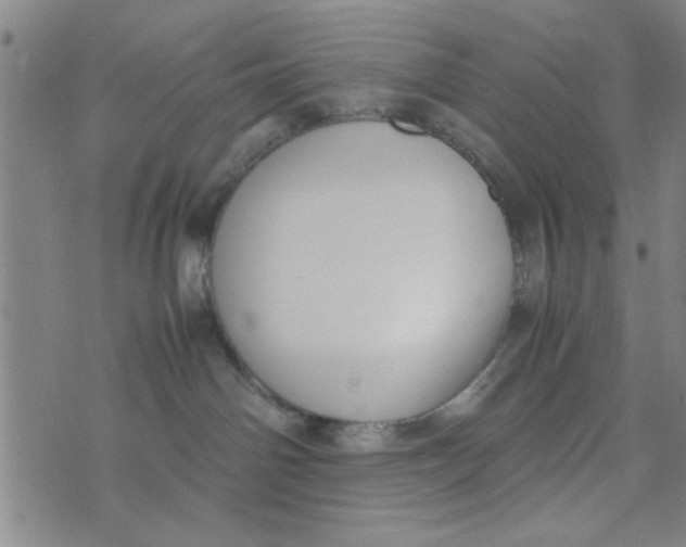 X0000074330142200609152106