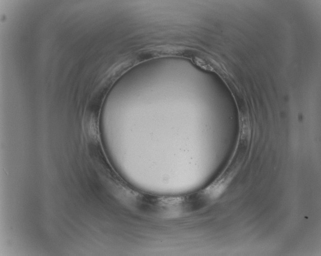 X0000074330143200609152106