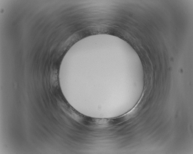 X0000074330144200609152106