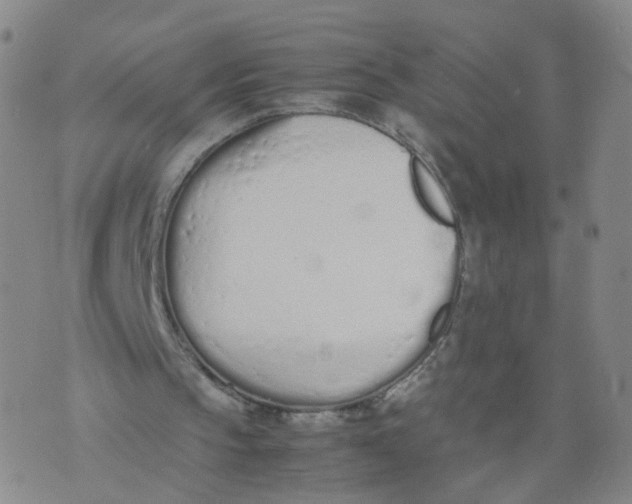 X0000074330145200609152105