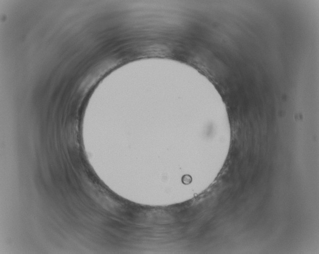 X0000074330146200609152105