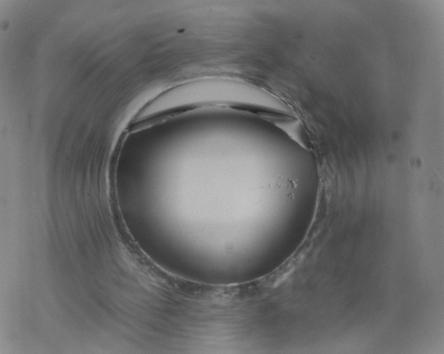 X0000074330148200609152105