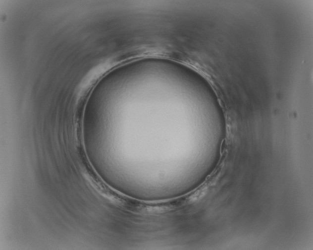 X0000074330149200609152105