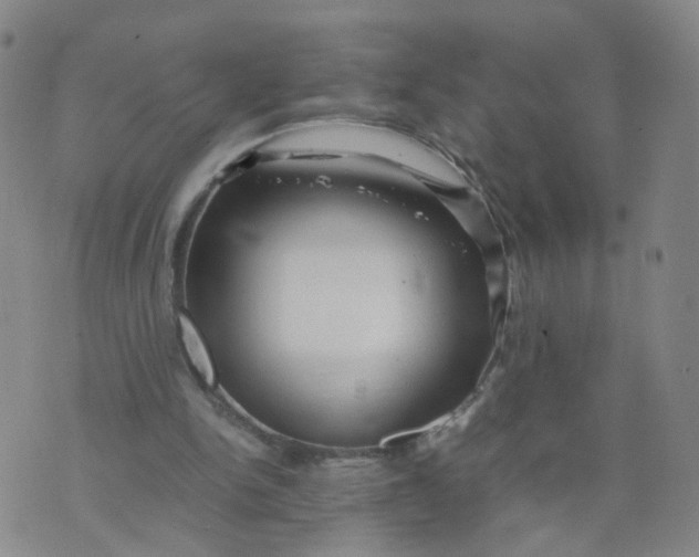 X0000074330150200609152105