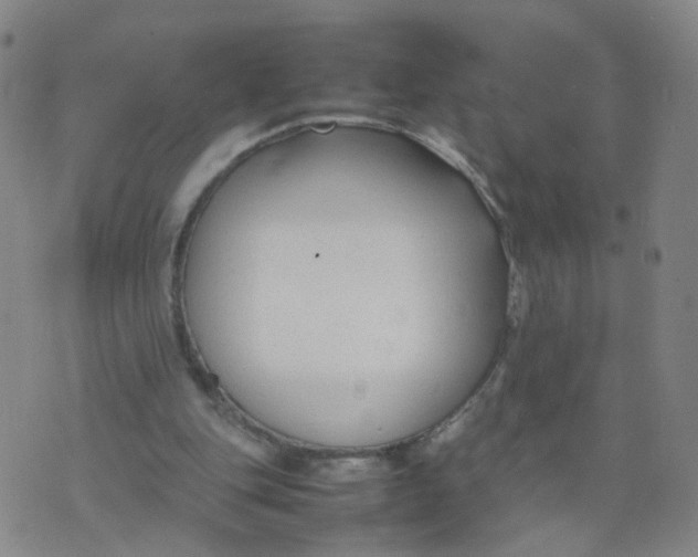 X0000074330151200609152105