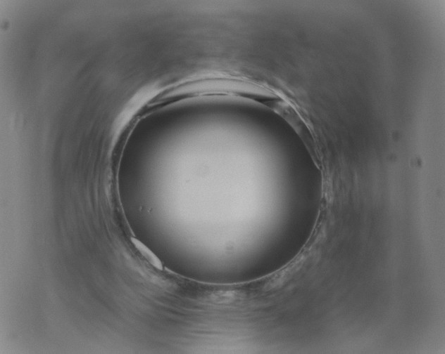 X0000074330152200609152105