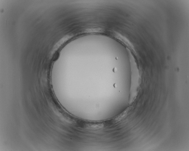 X0000074330155200609152106