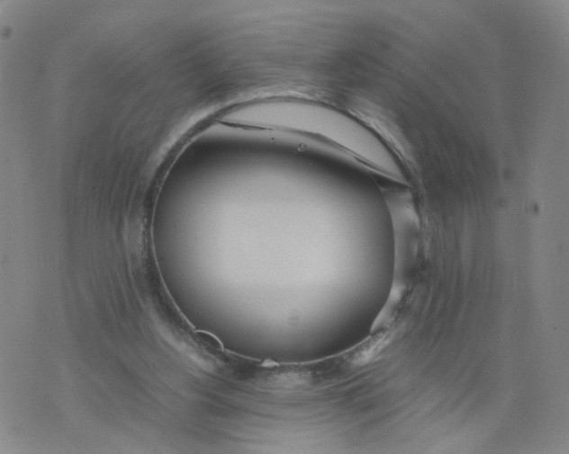 X0000074330156200609152106