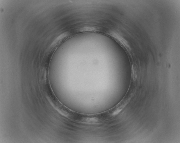 X0000074330157200609152106