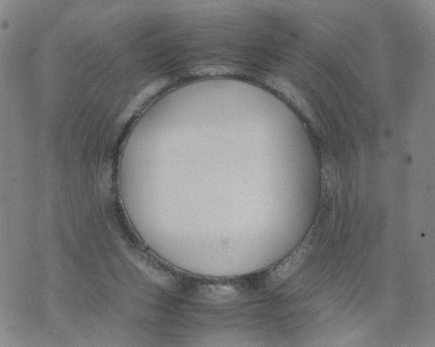 X0000074330159200609152106